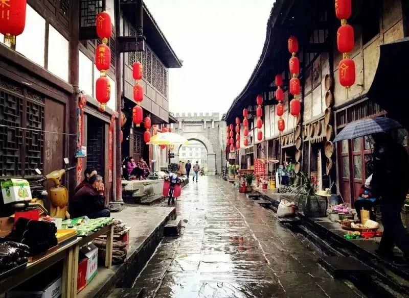 春雨直播app